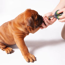 Puppy & Cat Nail Clipper