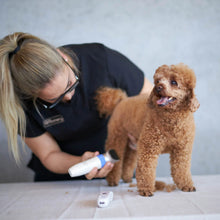 Cordless Multi-Groom Dog Clipper