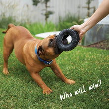 Toothy Tyre Dog Toy