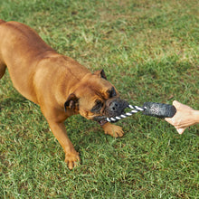 Toothy Tug Tyre Dog Toy