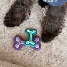 Puppy Teether Dog Toy