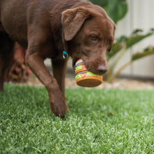 Beefy Burger Squeaky Dog Toy