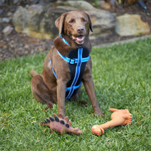 Lanky Long Neck Squeaky Dog Toy