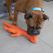 Chook Foot Squeaky Dog Toy