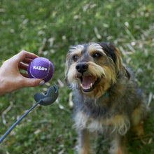 Eco-Friendly Ball Thrower