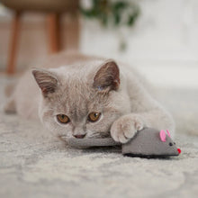 Move It Mouse Cat Toy