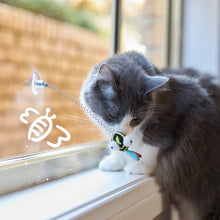 Bouncy Bee with catnip and spring suction cap