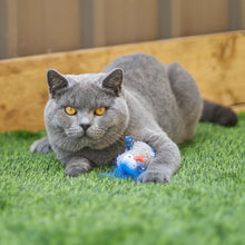 Wobble Duck cat toy