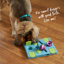 Rectangle Rumble Interactive Puzzle Pet Toy