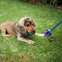 Adjustable Eco-Friendly Ball Thrower