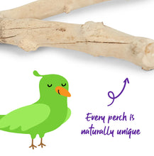 Natural Branch Perch