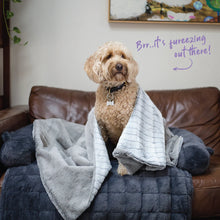 Reversible Snuggle Pet Blanket - Cloud