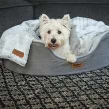 Reversible Snuggle Pet Blanket - Cloud