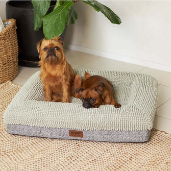 Wombat Dog Bed - Massager