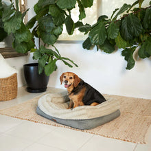 Honey Possum Dog Bed