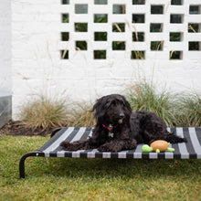 Everyday Outdoor Dog Bed