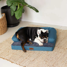 Boudoir Pet Bed - Teal