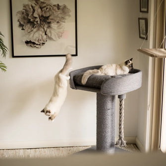 High Bed Sofa Cat Scratch Post - Grey