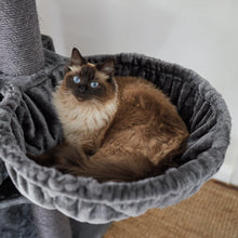 Kitty Tall Cubby Playground