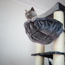 Kitty Tower Playground