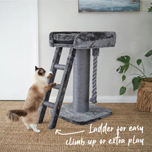 High Bed Cat Scratch Post with Ladder - Charcoal