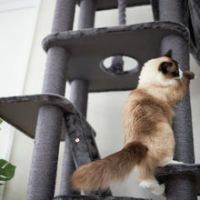 Kitty Climb Playground - Charcoal