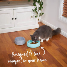 Better Bowl For Pets - Ash Grey