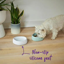 Better Bowl For Pets - Sage Green