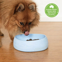 Better Bowl For Pets - Ocean Blue