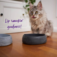 Better Bowl For Pets - Charcoal Black