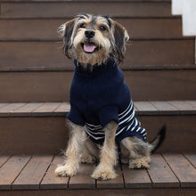 Navy Stripe Dog Jumper