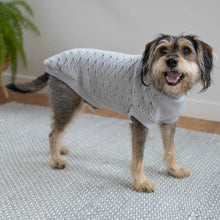 Grey Wave Dog Jumper