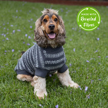 Winter Wonder Dog Jumper