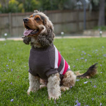 Chestie Dog Jumper - Pink