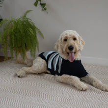 Chestie Dog Jumper - Blue