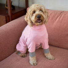 Long John Dog Pyjamas - Pink