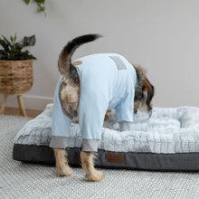 Long John Dog Pyjamas - Blue