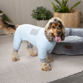 Long John Dog Pyjamas - Blue