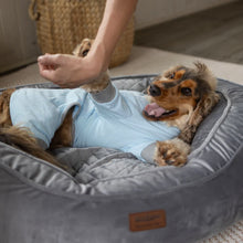 Long John Dog Pyjamas - Blue