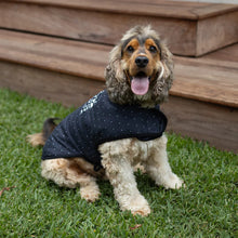 Night Vision Reversible Soft Dog Jacket