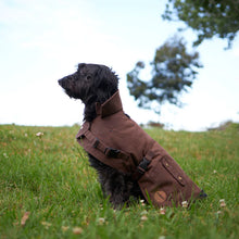 Aussie Oilskin Waterproof Dog Coat - Brown