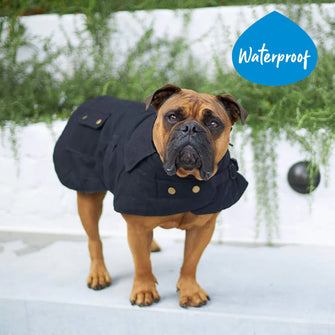 Aussie Oilskin Waterproof Dog Coat - Black