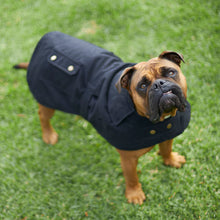 Aussie Oilskin Waterproof Dog Coat - Black