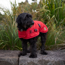 Adventure Dog Coat with Harness Hatch - Red