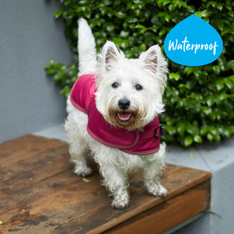 Adventure Dog Coat - Cherry