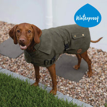 Aussie Oilskin Waterproof Dog Coat - Olive