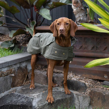 Aussie Oilskin Waterproof Dog Coat - Olive