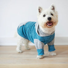 Sleepwear Softie Dog Pyjamas - Seaside