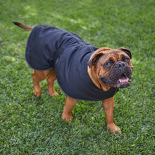 Adventure Dog Coat - Black