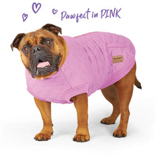 Pink Petal Dog Jacket